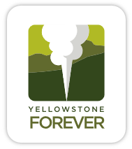 Yellowstone Forever Logo